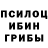 Галлюциногенные грибы мицелий Sikora Sergey