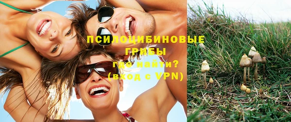 прущая мука Белоозёрский