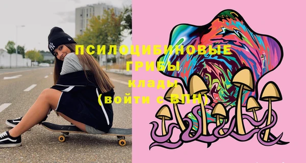mdma Белокуриха