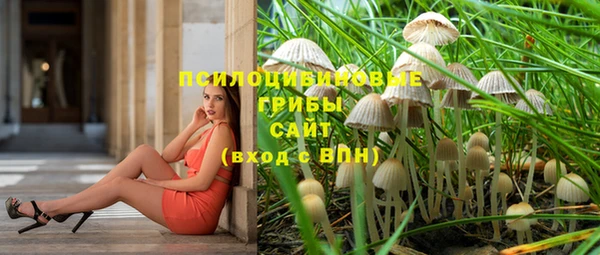 прущая мука Белоозёрский