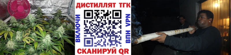 наркошоп  kraken зеркало  площадка клад  Гай  Дистиллят ТГК THC oil 