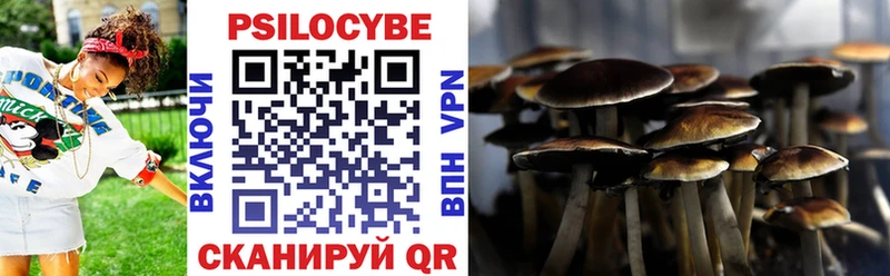 Псилоцибиновые грибы Magic Shrooms Гай