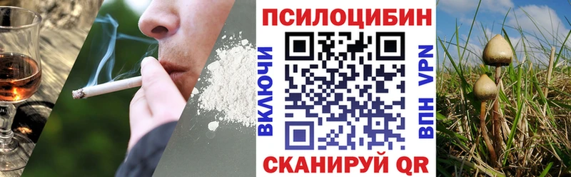 Галлюциногенные грибы прущие грибы  mega онион  Гай 