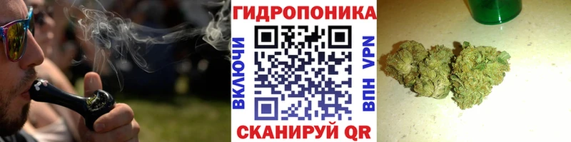 где продают   Гай  Бошки марихуана VHQ 